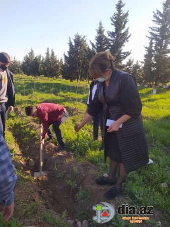 Şəmkir şagirdləri təhsildən yayındırılır 