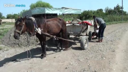 Sabirabadda camaatı ZÜLMƏ SALAN KİM(lər)DİR?