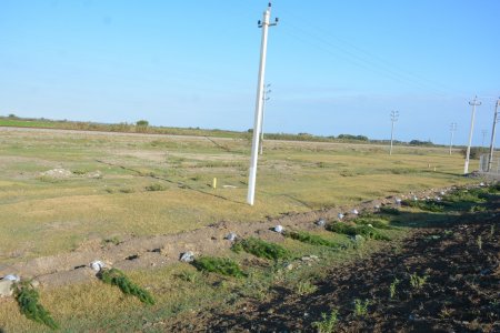 Tərtərdə "Yaşıl dünya naminə həmrəylik ili" çərçivəsində ümumrayon ağacəkmə aksiyası keçirilib