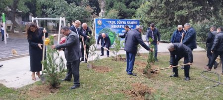 Nəsimi rayonunda “Yaşıl dünya naminə həmrəylik ili” çərçivəsində ağacəkmə aksiyası davam edir