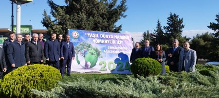 Nəsimi rayonunda “Yaşıl dünya naminə həmrəylik ili” çərçivəsində ağacəkmə aksiyası davam edir