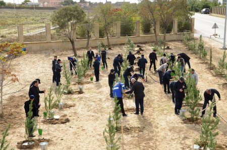 Keçirilən aksiyalar paytaxtın ekoloji durumunu daha da yaxşılaşdıracaq