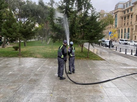 Bakıda genişmiqyaslı iməcilik keçirilib