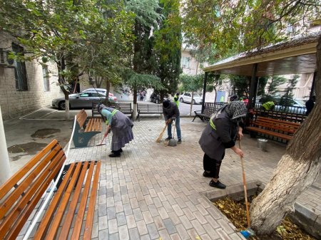 Bakıda genişmiqyaslı iməcilik keçirilib