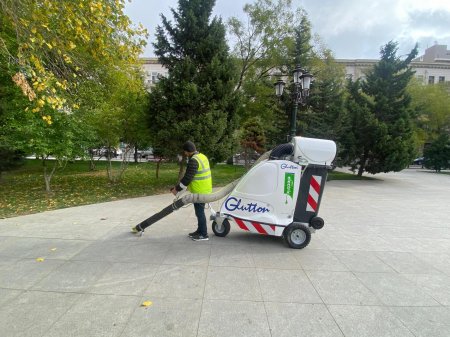 Bakıda genişmiqyaslı iməcilik keçirilib