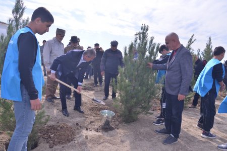 “Yaşıl dünya naminə həmrəylik ili” elan edilməsi ilə əlaqədar “Ağacəkmə aksiyası” keçirilib