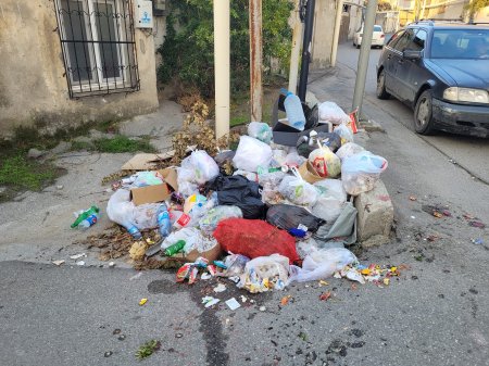 "Məhəlləmiz əməlli-başlı zibilxanaya çevrilib..."