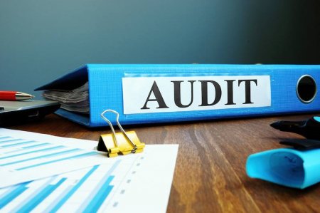 Palata bir audit şirkətinin lisenziyasını ləğv edib,