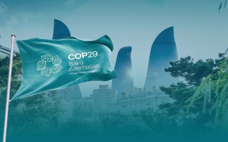 COP29-da özəl qurumlar da məsafədən işləyəcək?