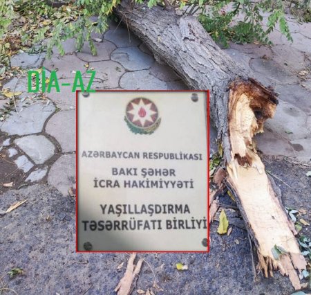 Bakı Şəhər Yaşıllaşdırma Təsərrüfatı Birliyi HARA BAXIR?