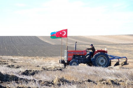 Türkiyəli fermerdən Zəfər Günümüzə İLGİNC JEST